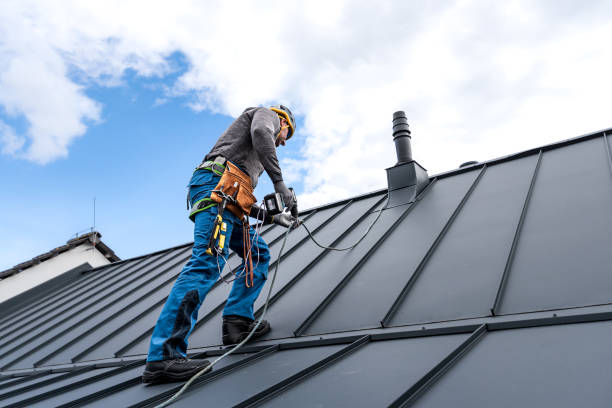 Best Sheet Metal Roofing  in Elmwood Park, NJ
